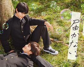 伦敦网站优化服务中心